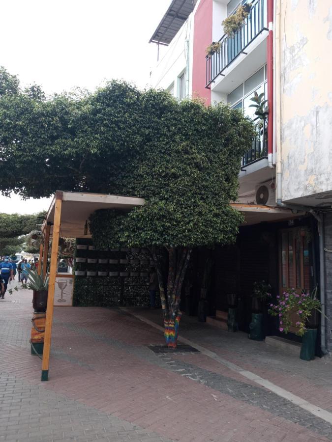 Christian Place Apartment Praia